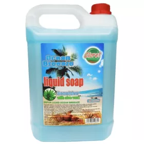 Cloret sapun lichid 5L, Ocean Fresh