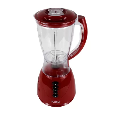 Floria blender mare 300W ZLN 3079