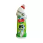 Sir solutie de curatat WC 750ml Pin